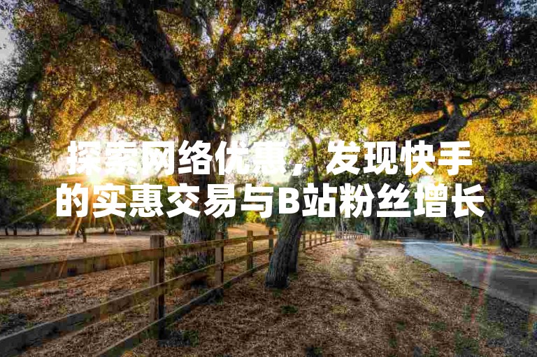 探索网络优惠，发现快手的实惠交易与B站粉丝增长服务。
