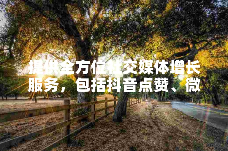 提供全方位社交媒体增长服务，包括抖音点赞、微博粉丝增加等，仅需1元即可获得100赞。
