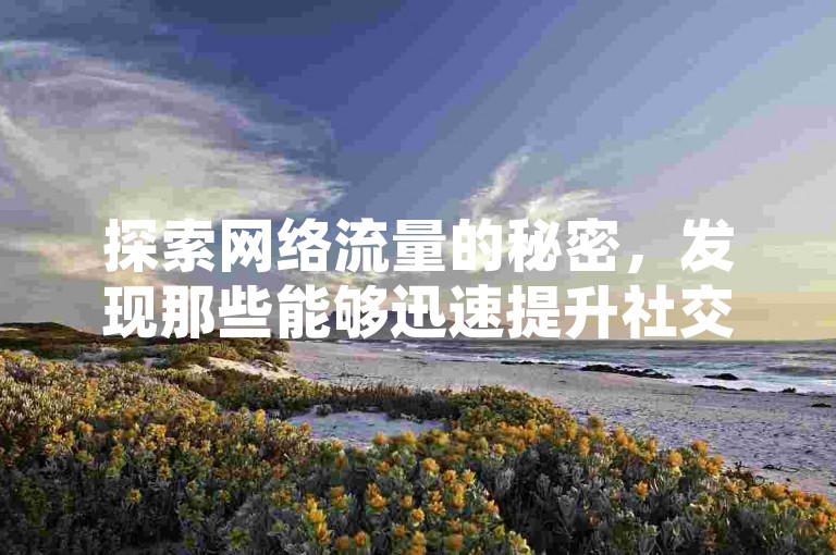 探索网络流量的秘密，发现那些能够迅速提升社交媒体关注度的神秘网站。