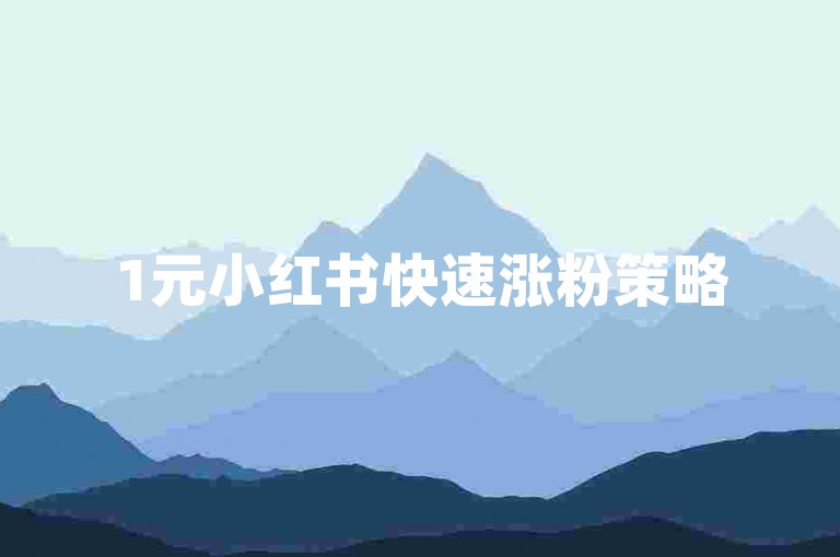 1元小红书快速涨粉策略