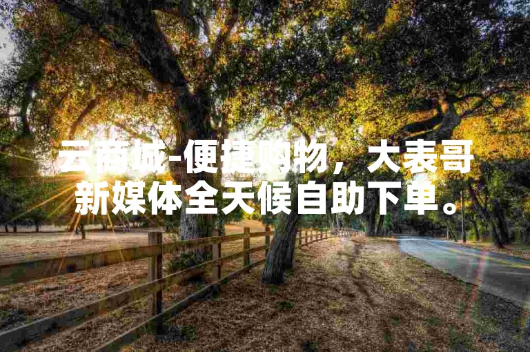 云商城-便捷购物，大表哥新媒体全天候自助下单。