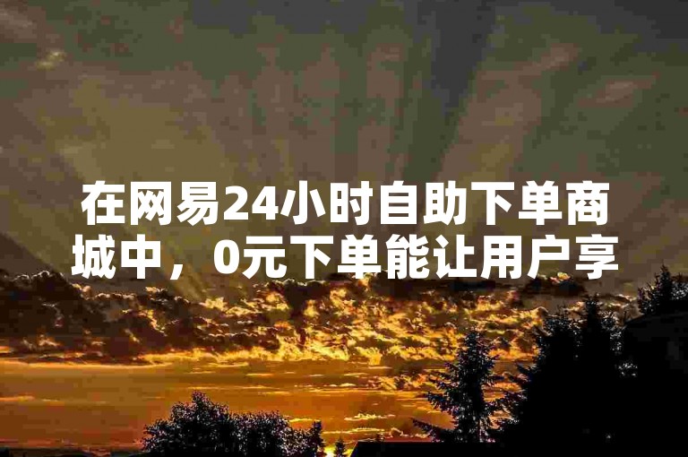 在网易24小时自助下单商城中，0元下单能让用户享受到免费体验商品或服务的便利，同时也为商家提供了一种吸引新客户和推广产品的有效方式。