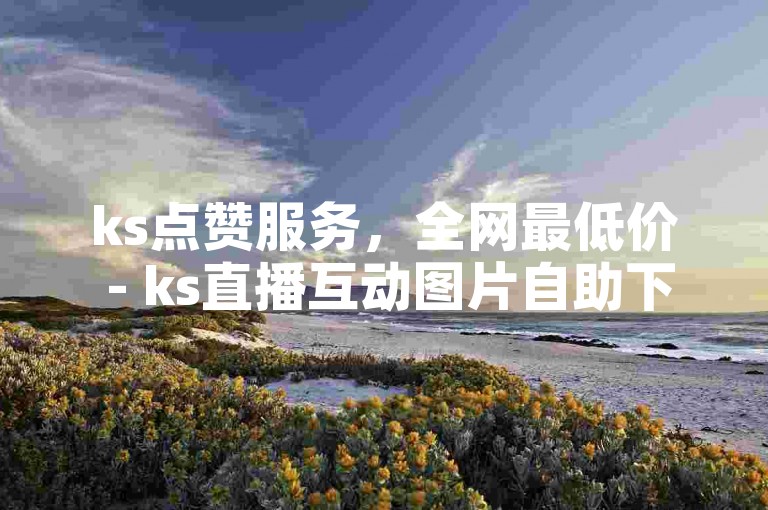 ks点赞服务，全网最低价 - ks直播互动图片自助下单。