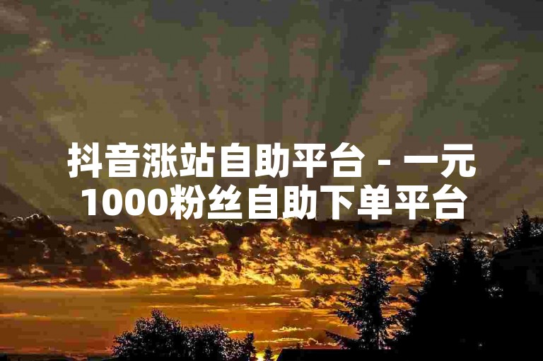 抖音涨站自助平台 - 一元1000粉丝自助下单平台