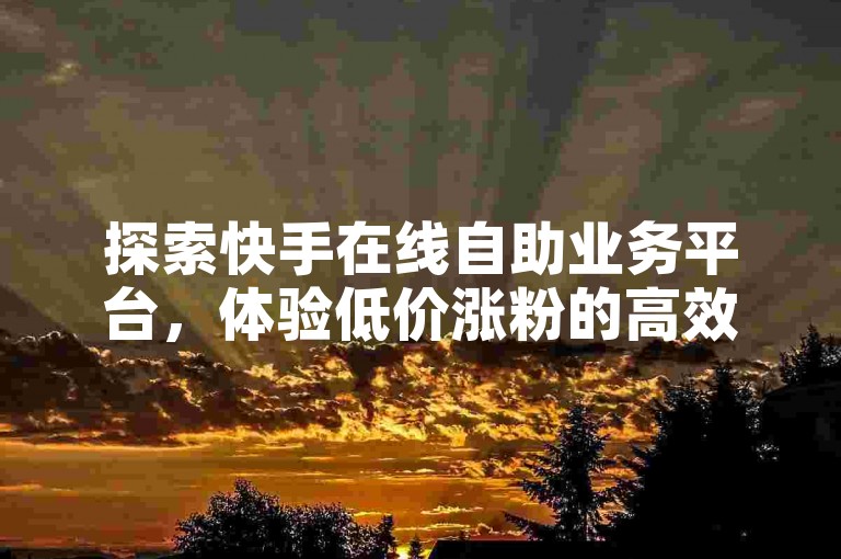 探索快手在线自助业务平台，体验低价涨粉的高效推广之道。