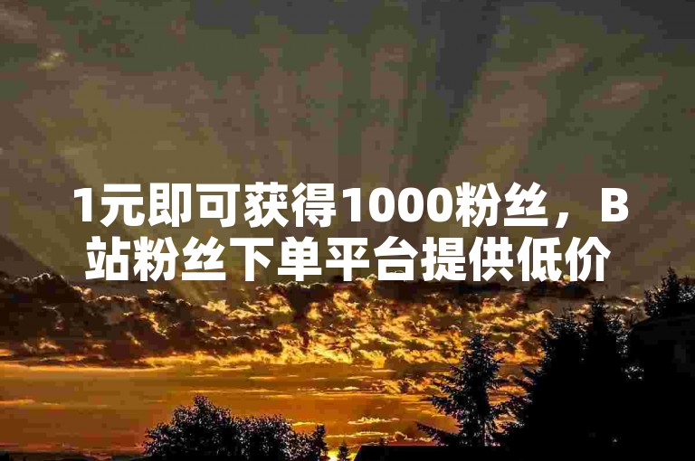 1元即可获得1000粉丝，B站粉丝下单平台提供低价点赞服务。