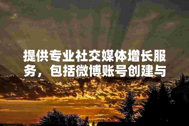 提供专业社交媒体增长服务，包括微博账号创建与维护，以及全天候人工点赞支持。