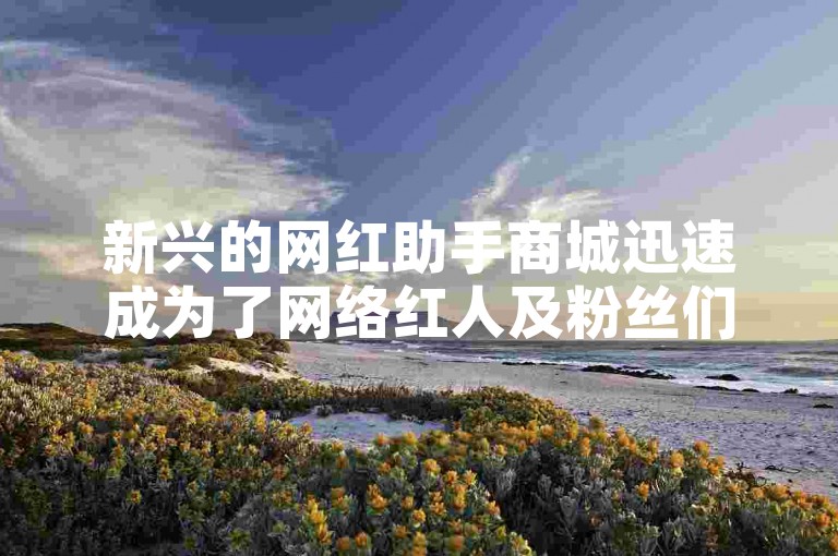 新兴的网红助手商城迅速成为了网络红人及粉丝们选购潮流商品的热门平台。