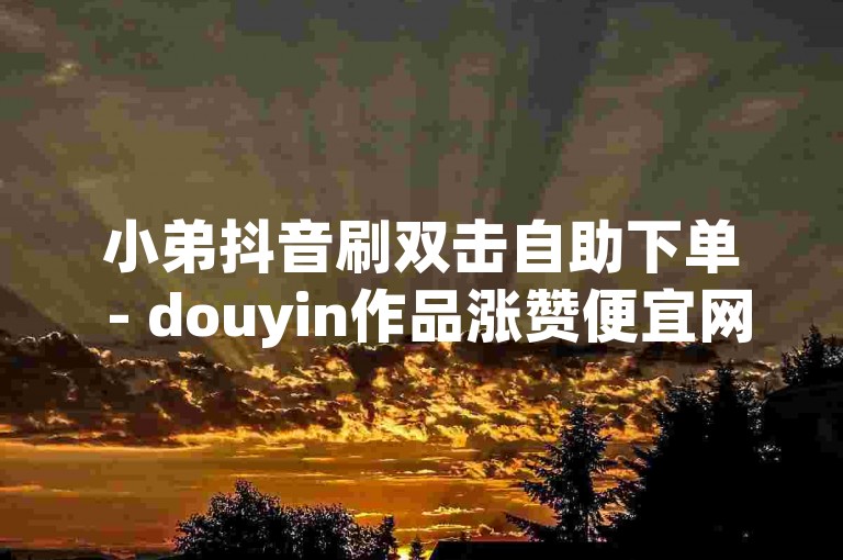 小弟抖音刷双击自助下单 - douyin作品涨赞便宜网站