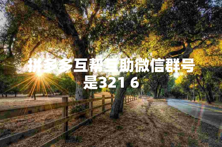 拼多多互帮互助微信群号是321 654 987。