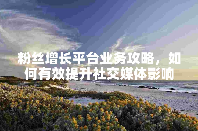 粉丝增长平台业务攻略，如何有效提升社交媒体影响力。