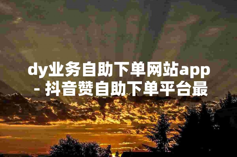 dy业务自助下单网站app - 抖音赞自助下单平台最低价运营网，提供便捷的在线服务。