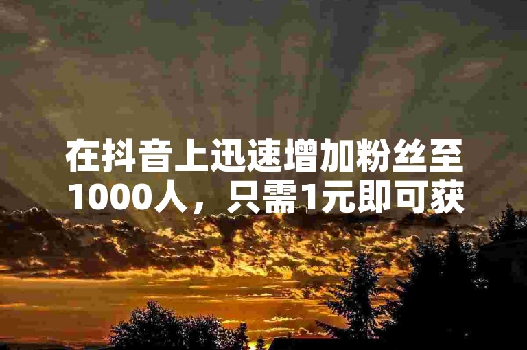 在抖音上迅速增加粉丝至1000人，只需1元即可获得1000个粉丝的下单服务。