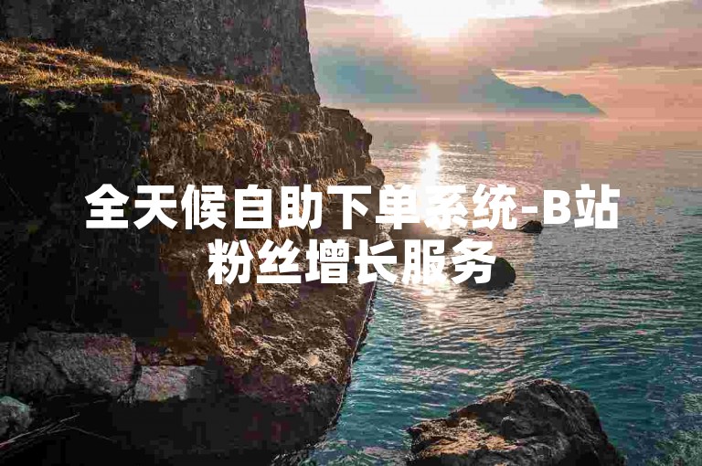 全天候自助下单系统-B站粉丝增长服务