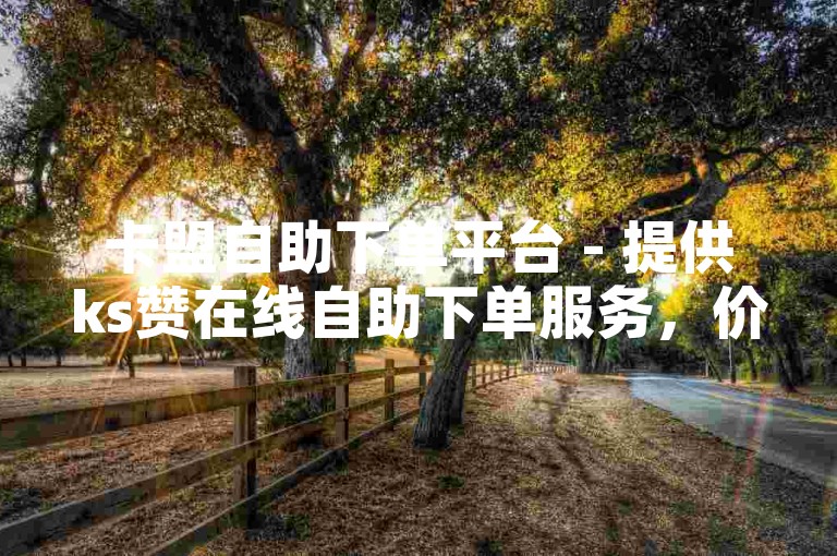 卡盟自助下单平台 - 提供ks赞在线自助下单服务，价格实惠。