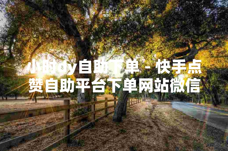小时dy自助下单 - 快手点赞自助平台下单网站微信如何访问
