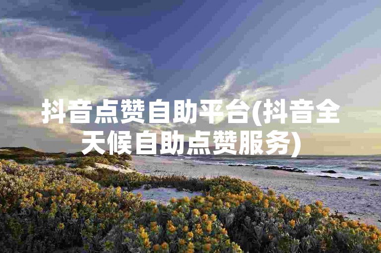 抖音点赞自助平台(抖音全天候自助点赞服务)