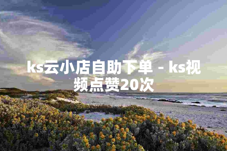 ks云小店自助下单 - ks视频点赞20次