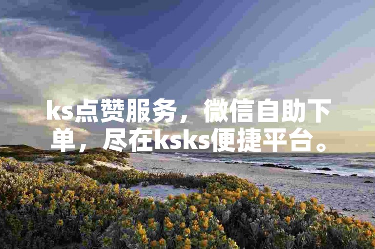ks点赞服务，微信自助下单，尽在ksks便捷平台。