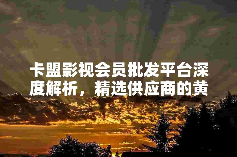 卡盟影视会员批发平台深度解析，精选供应商的黄金法则，2025年必备知识！