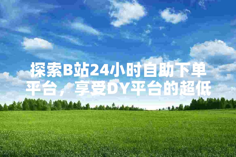 探索B站24小时自助下单平台，享受DY平台的超低价服务。