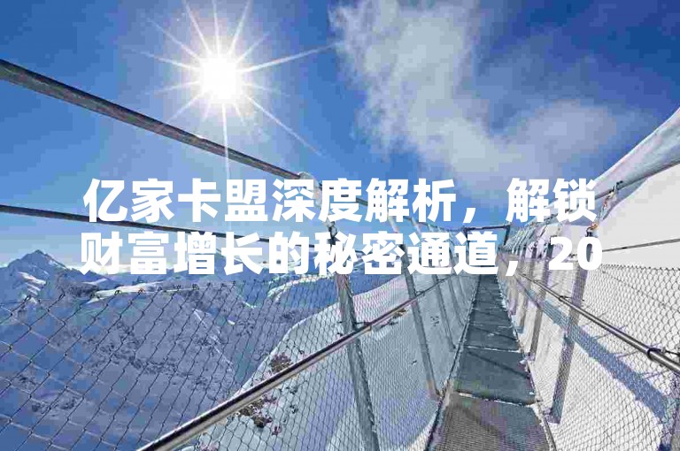 亿家卡盟深度解析，解锁财富增长的秘密通道，2025年不容错过的学习宝典！