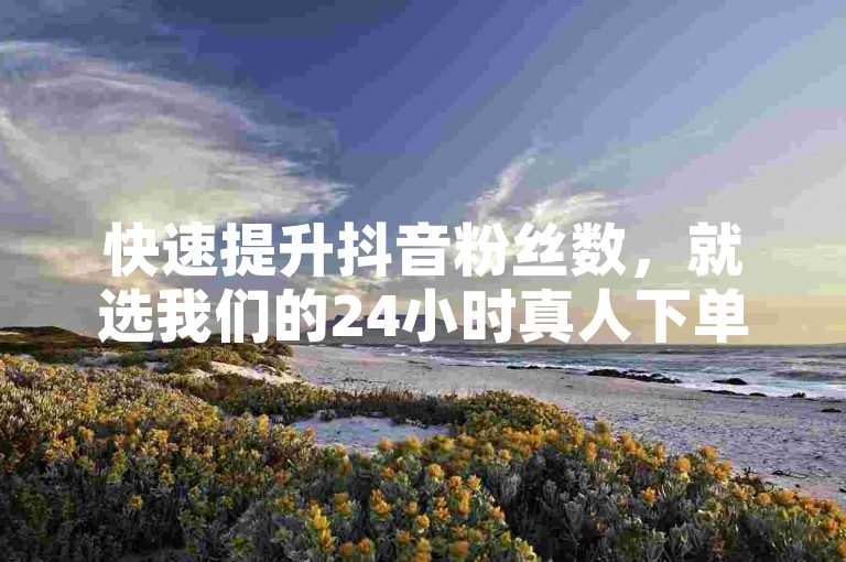 快速提升抖音粉丝数，就选我们的24小时真人下单服务。
