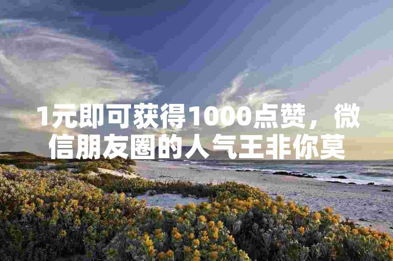 1元即可获得1000点赞，微信朋友圈的人气王非你莫属 - 探索全网最低价的24小时自助服务平台。