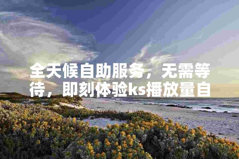 全天候自助服务，无需等待，即刻体验ks播放量自助下单的便捷与高效。