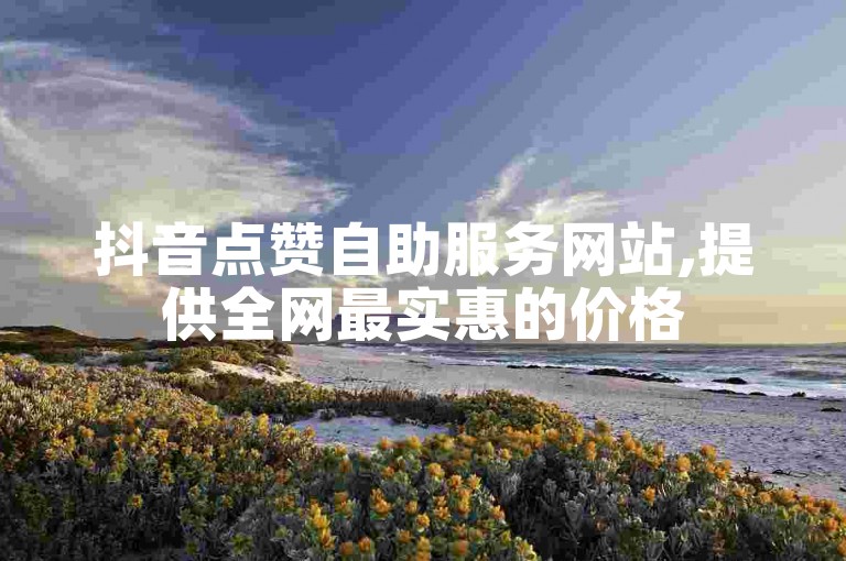 抖音点赞自助服务网站,提供全网最实惠的价格