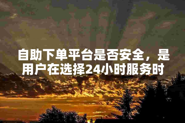 自助下单平台是否安全，是用户在选择24小时服务时必须考虑的重要因素。