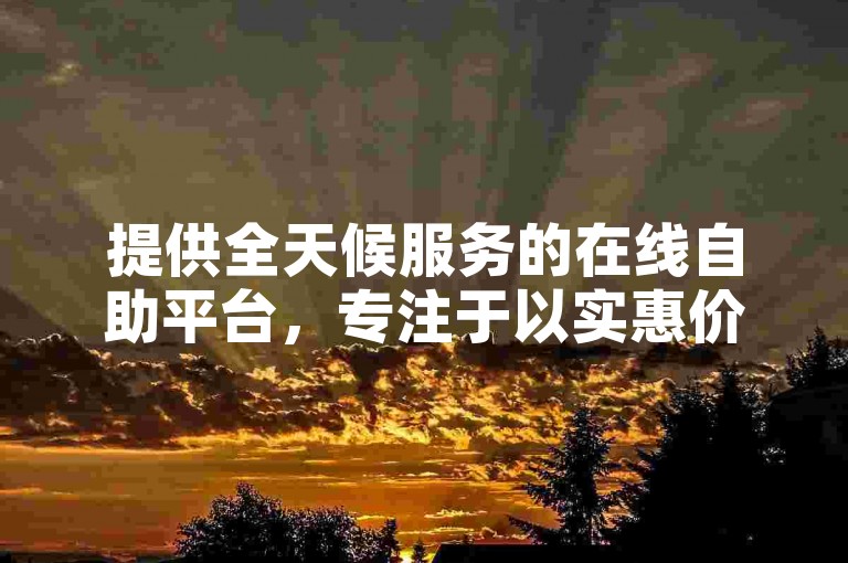 提供全天候服务的在线自助平台，专注于以实惠价格满足多样化业务需求。