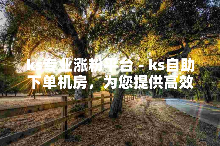 ks专业涨粉平台 - ks自助下单机房，为您提供高效、安全的涨粉服务。