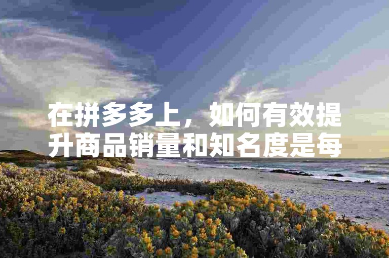 在拼多多上，如何有效提升商品销量和知名度是每个商家都关心的问题，而利用大众点评刷收藏以及掌握拼多多助力的技巧则是其中的重要手段。