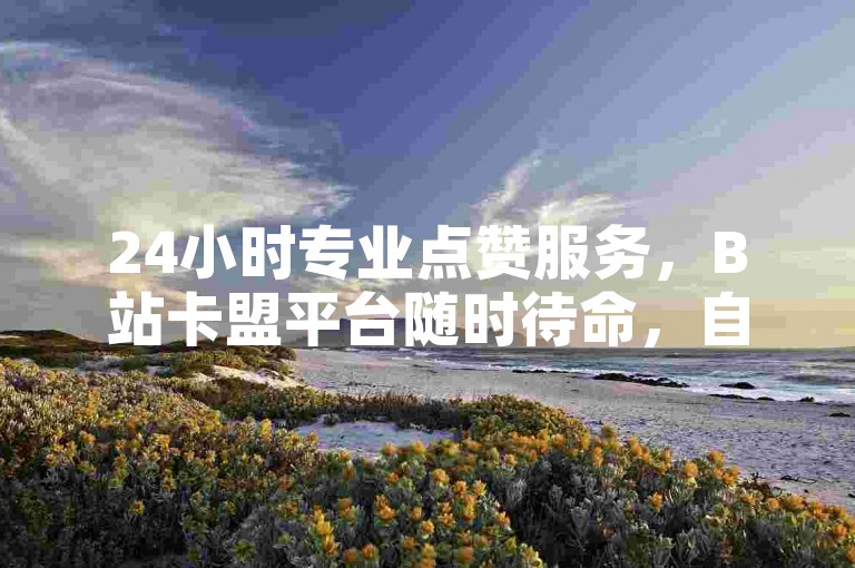 24小时专业点赞服务，B站卡盟平台随时待命，自助下单方便快捷。