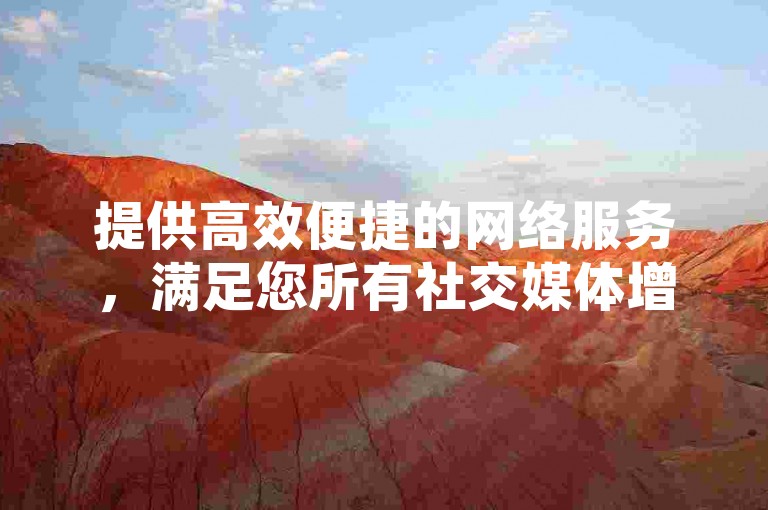 提供高效便捷的网络服务，满足您所有社交媒体增长需求。
