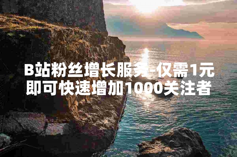 B站粉丝增长服务-仅需1元即可快速增加1000关注者。