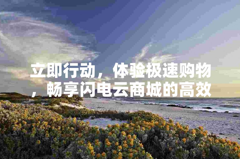 立即行动，体验极速购物，畅享闪电云商城的高效服务。