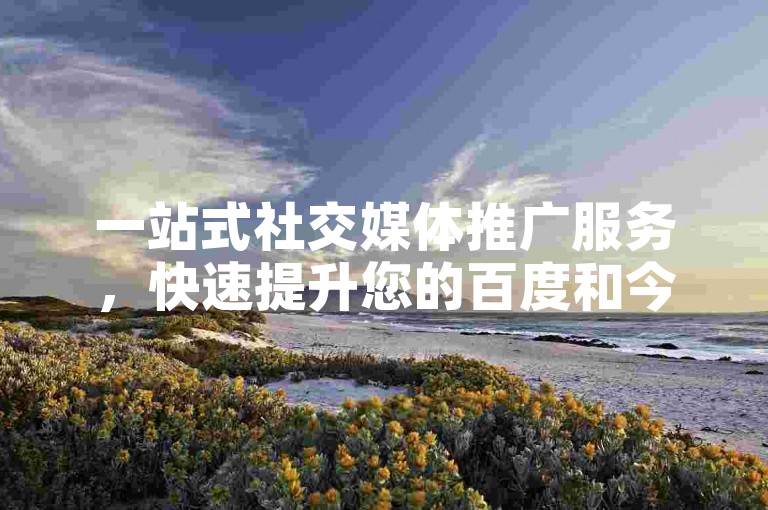 一站式社交媒体推广服务，快速提升您的百度和今日头条粉丝数量。