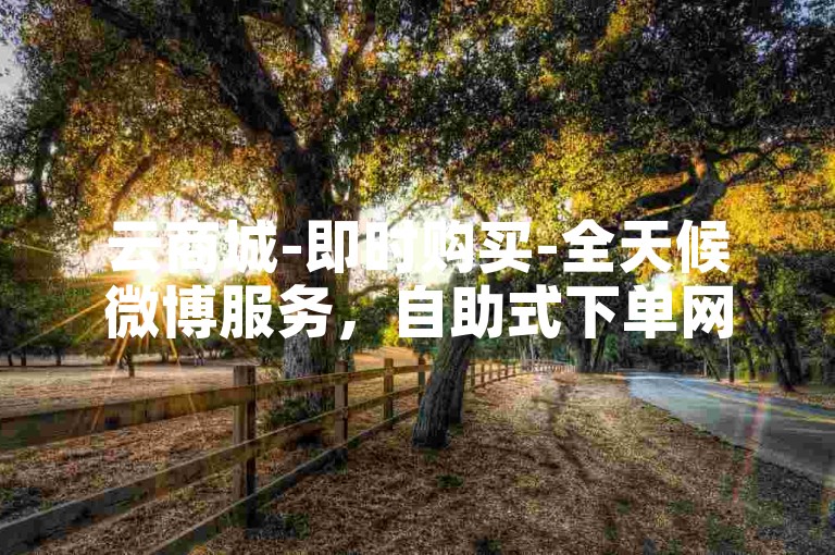 云商城-即时购买-全天候微博服务，自助式下单网站。