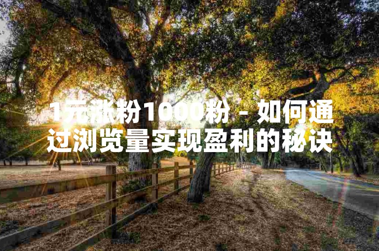1元涨粉1000粉 - 如何通过浏览量实现盈利的秘诀