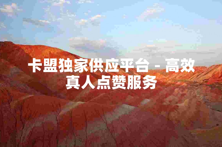 卡盟独家供应平台 - 高效真人点赞服务