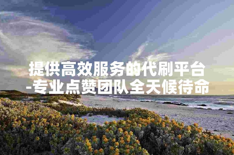 提供高效服务的代刷平台-专业点赞团队全天候待命。