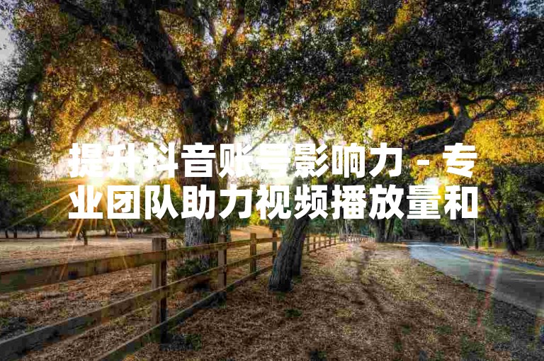 提升抖音账号影响力 - 专业团队助力视频播放量和点赞数增长。