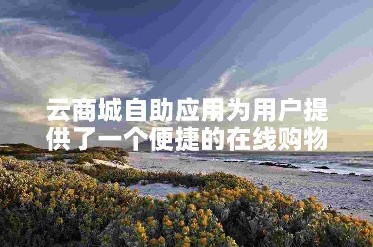 云商城自助应用为用户提供了一个便捷的在线购物平台，使购物体验更加个性化和高效。