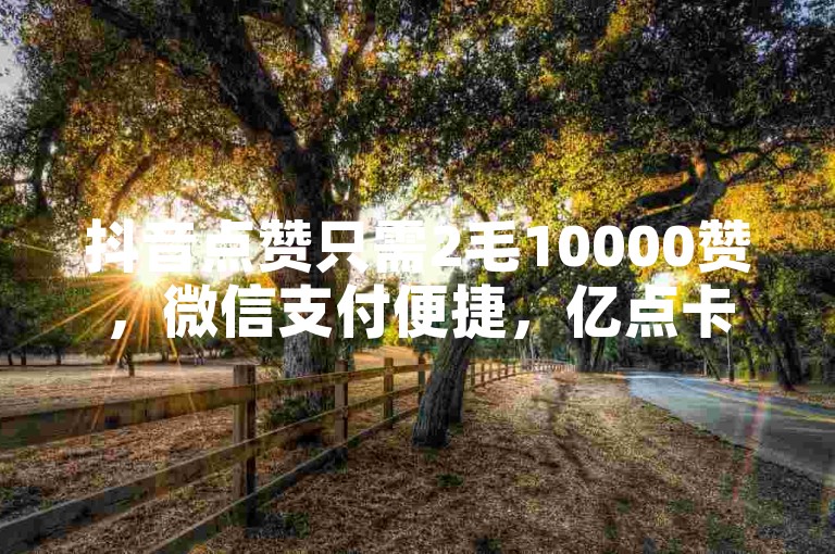 抖音点赞只需2毛10000赞，微信支付便捷，亿点卡盟提供24小时自助服务，快手自助平台在线下单，正规可靠。