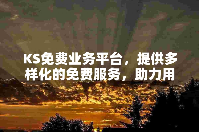 KS免费业务平台，提供多样化的免费服务，助力用户轻松实现业务拓展。