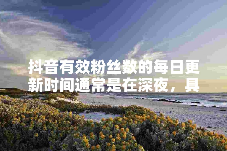 抖音有效粉丝数的每日更新时间通常是在深夜，具体时段则根据平台数据处理和系统维护的需要而定。