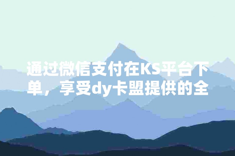 通过微信支付在KS平台下单，享受dy卡盟提供的全网最低价业务，包括快速增加抖音粉丝的软件。