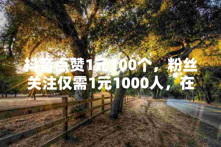 抖音点赞1元100个，粉丝关注仅需1元1000人，在线自助下单享受全网最优惠价格dy。